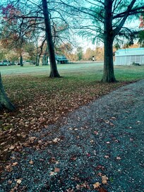 Spacious yard to let the kids / you to play - left side