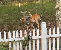 We saw 5 deer walk by.