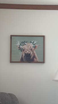 Absolutely LOVED the highland cow photo in the living/ dining area!