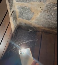 Aconselho antes de usar os aposentos averiguar os locais novamente, pois a natureza local é bem presente