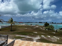 My view with coffee every morning