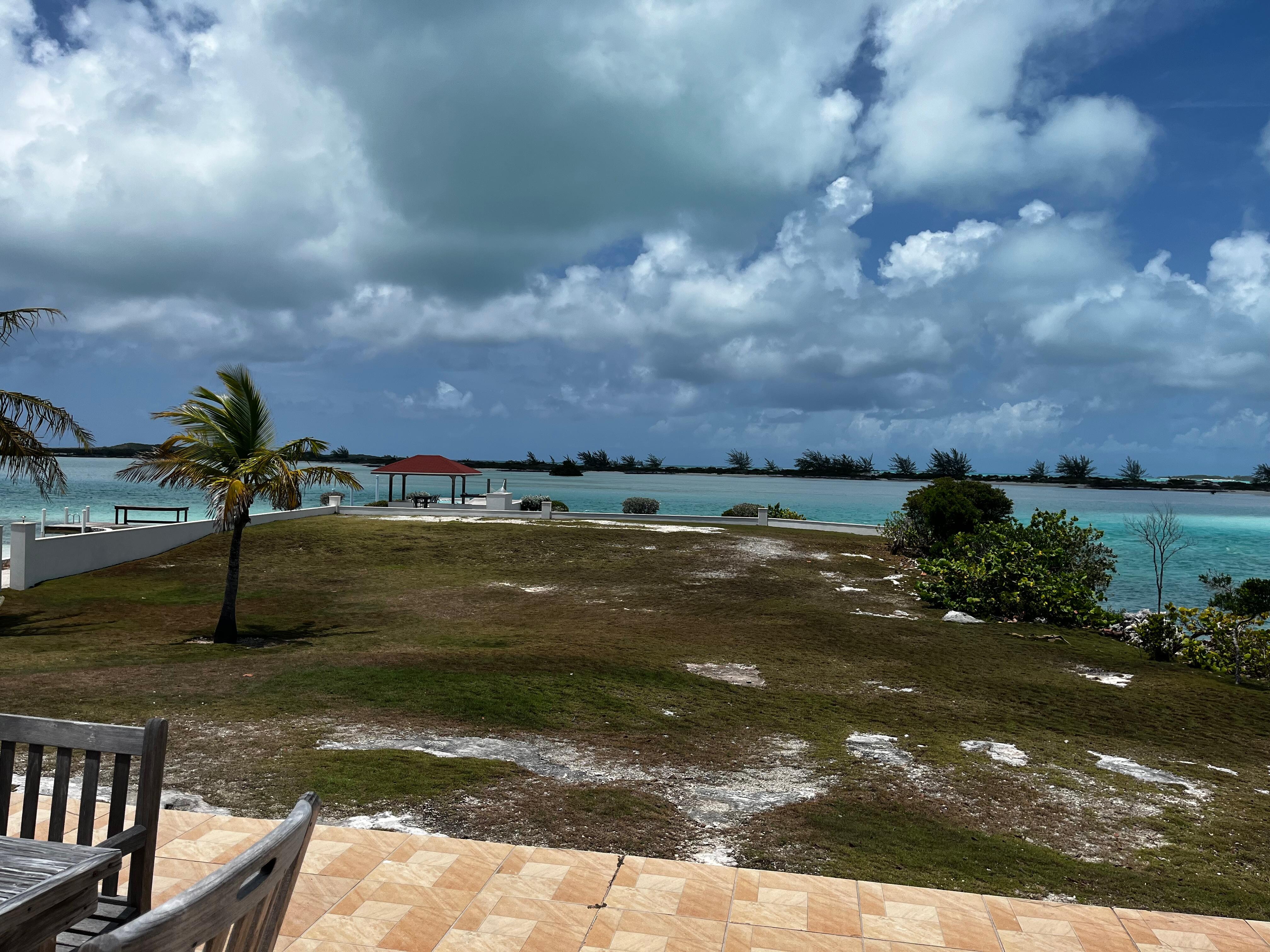 My view with coffee every morning