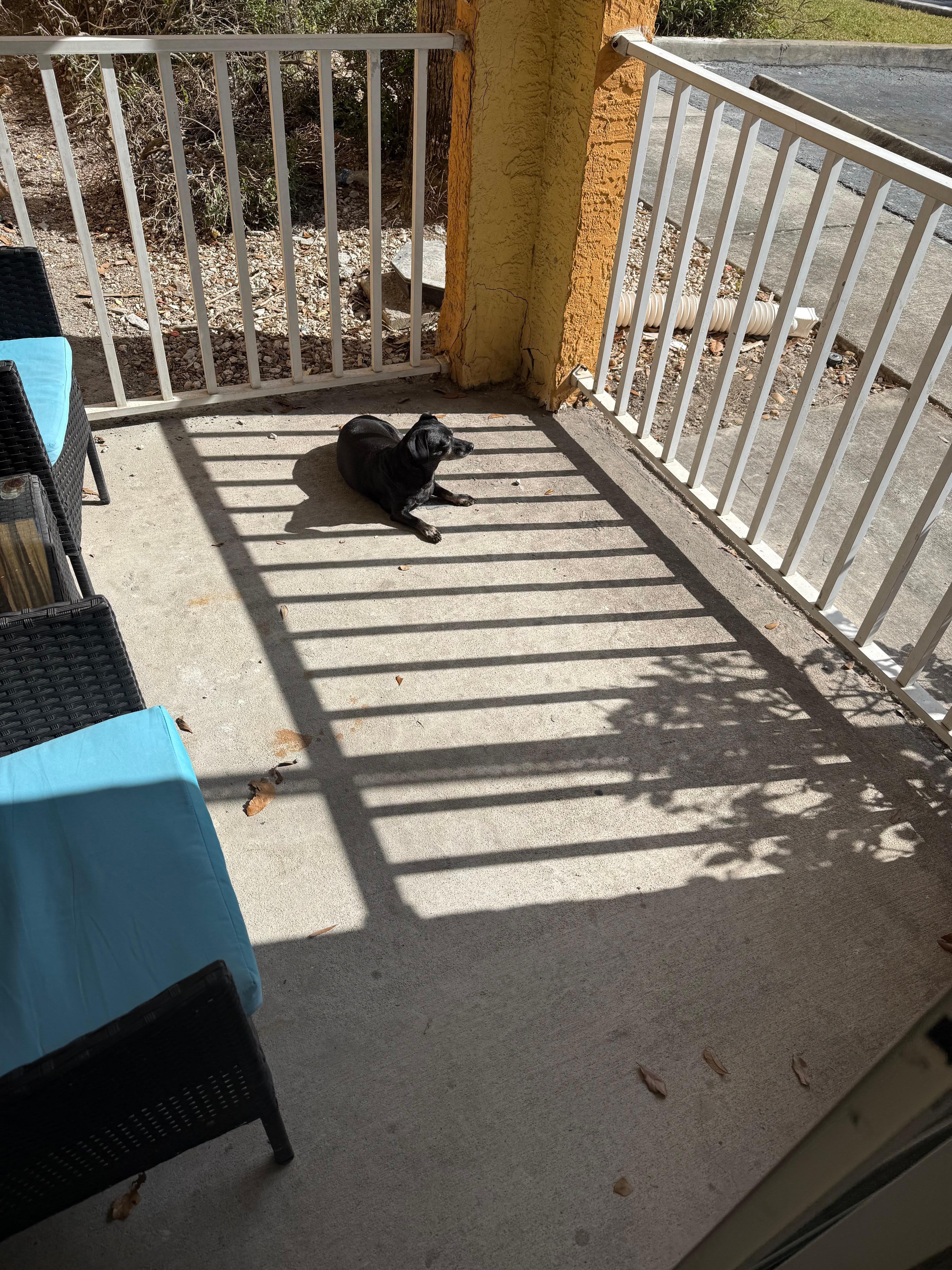 Franklin loving the warm weather!!