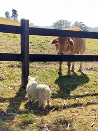 Making new friends 🧡