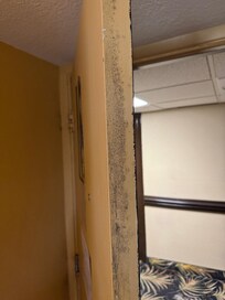 Black mold