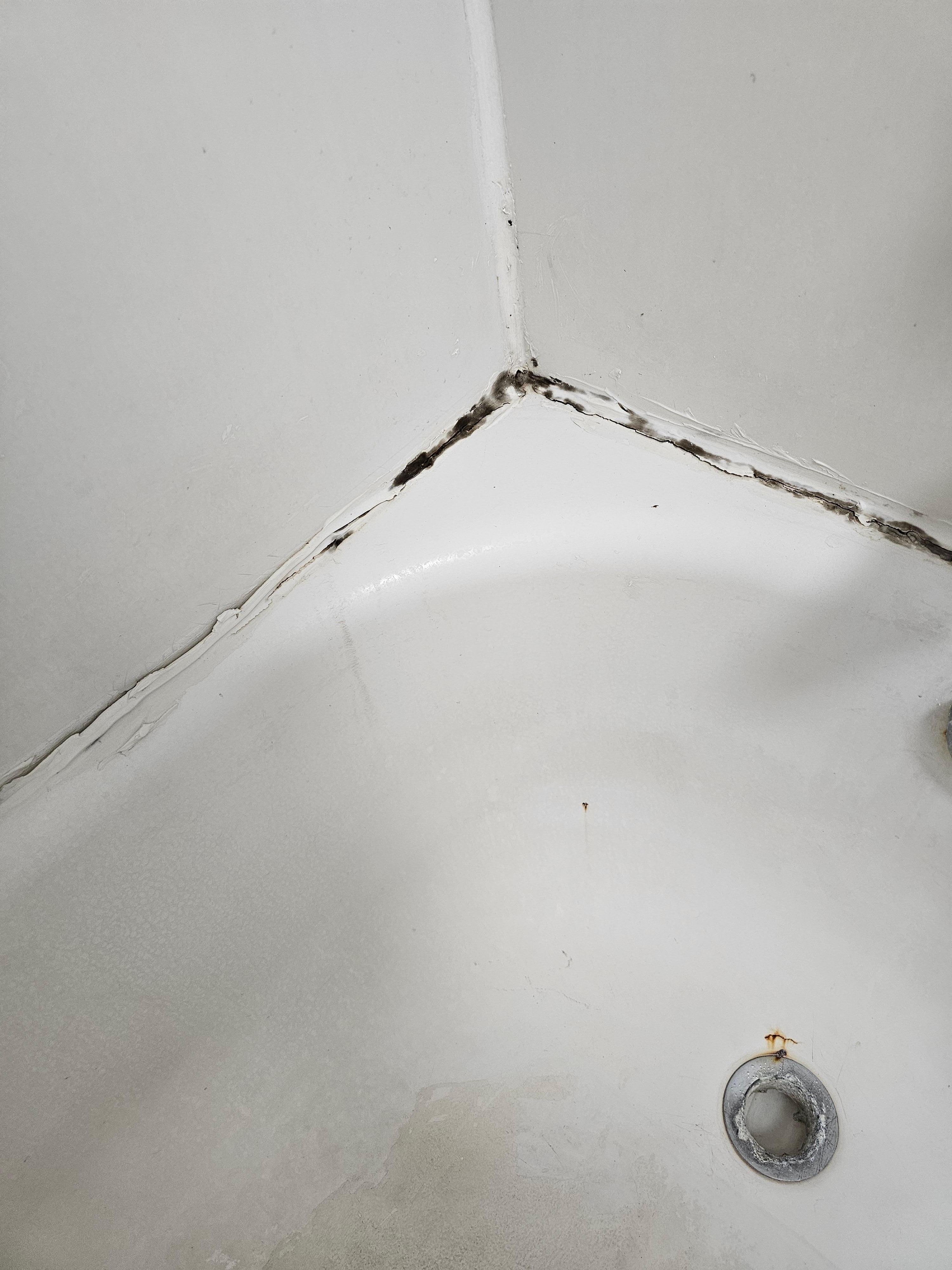 Mold