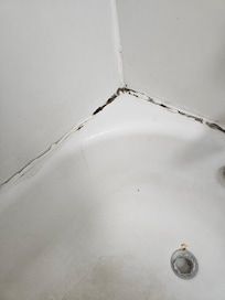 Mold