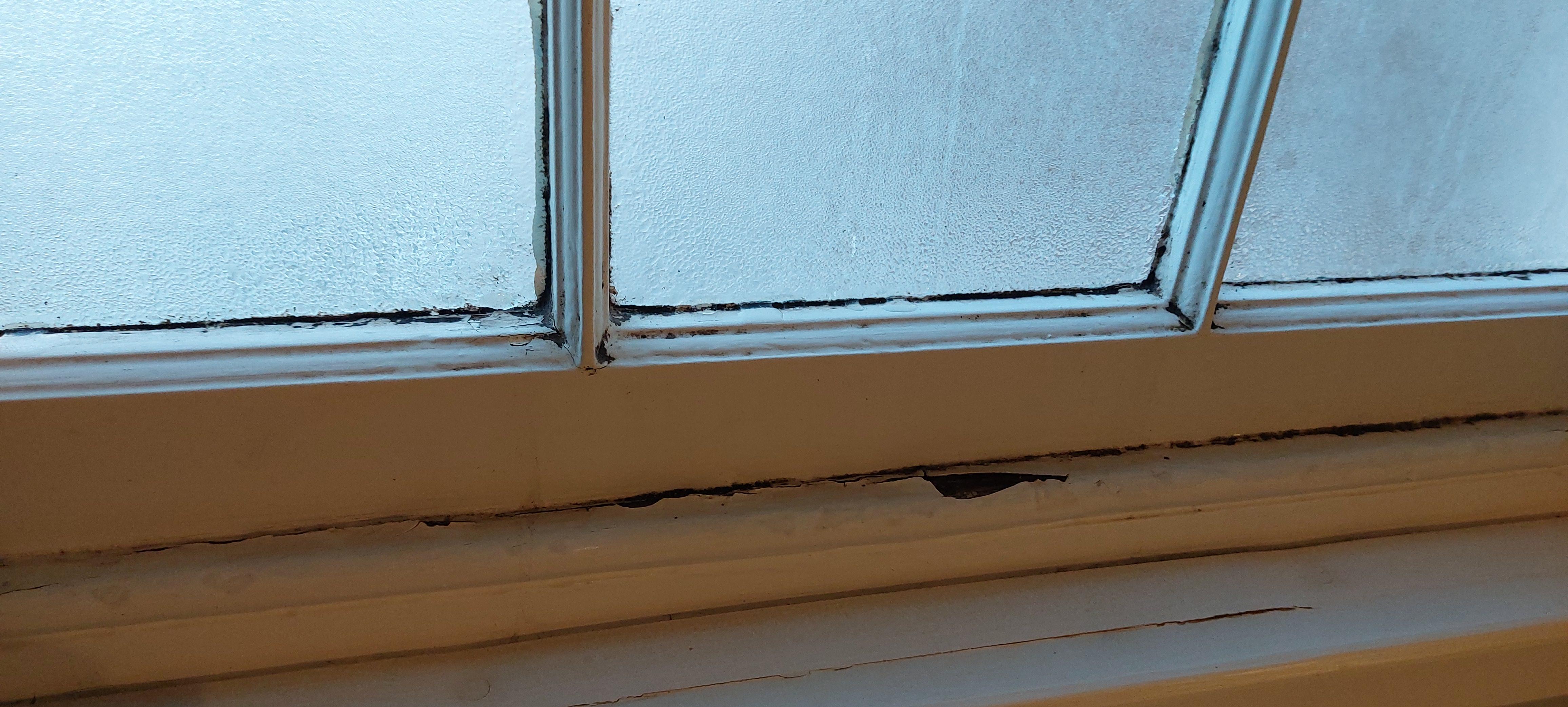 Bathroom Window Sill