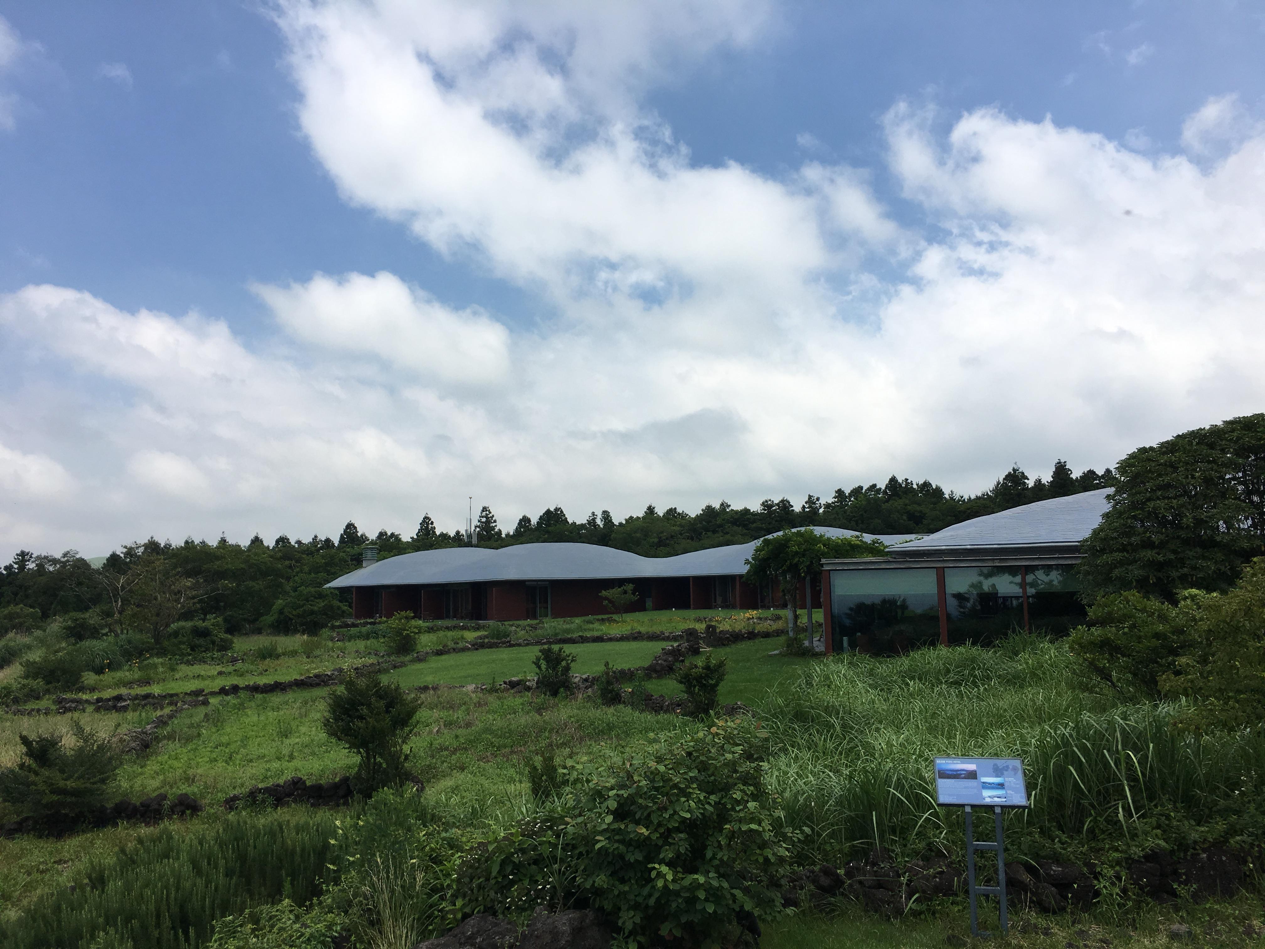 餐廳刺身