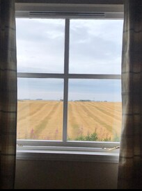 Gorgeous view from bedroom window