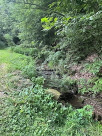 Creek next to the house.