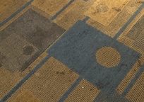 Stains on the carpet in our hotel room.