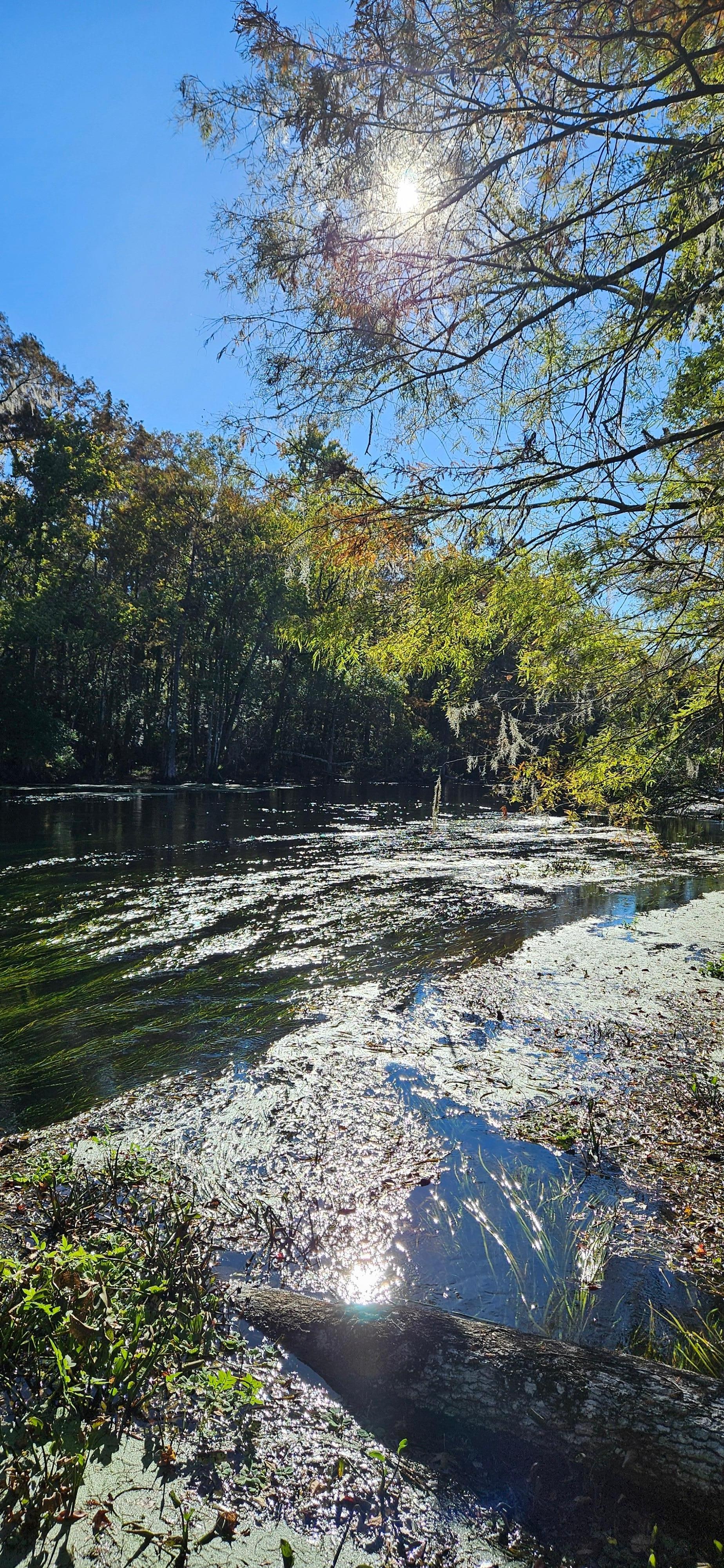 Beautiful morning sitting on the dock.