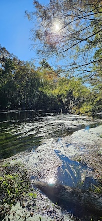 Beautiful morning sitting on the dock.