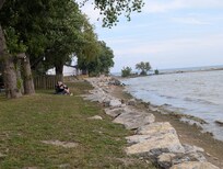 Shoreline