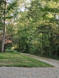 So peaceful that even the deer stop by for a visit.