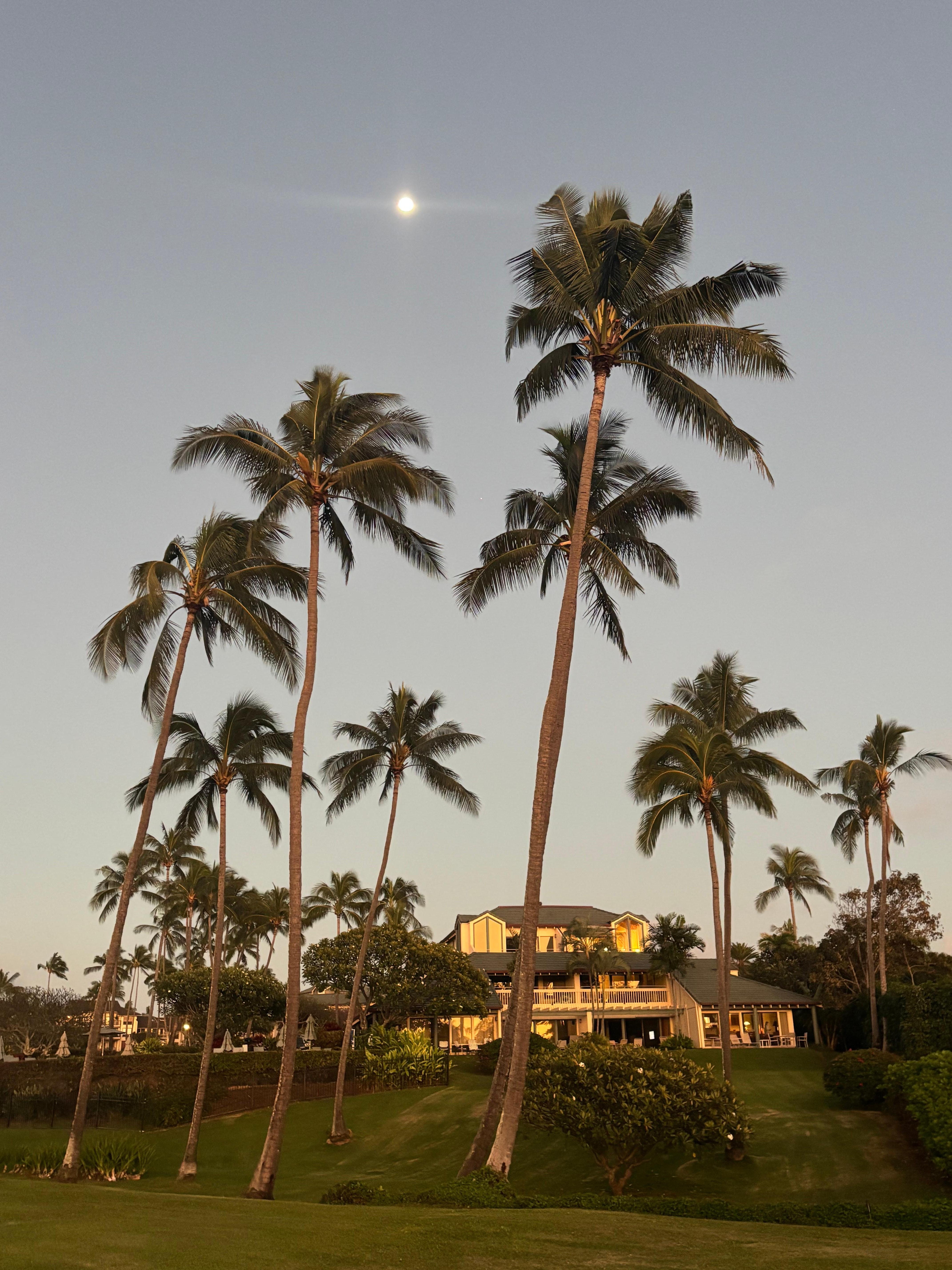 From walkway to beach.