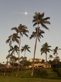 From walkway to beach.
