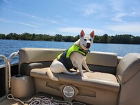 Cpt. Willow enjoying the lake.