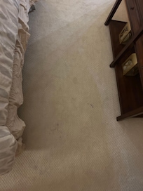 Spots on carpet in master bedroom
