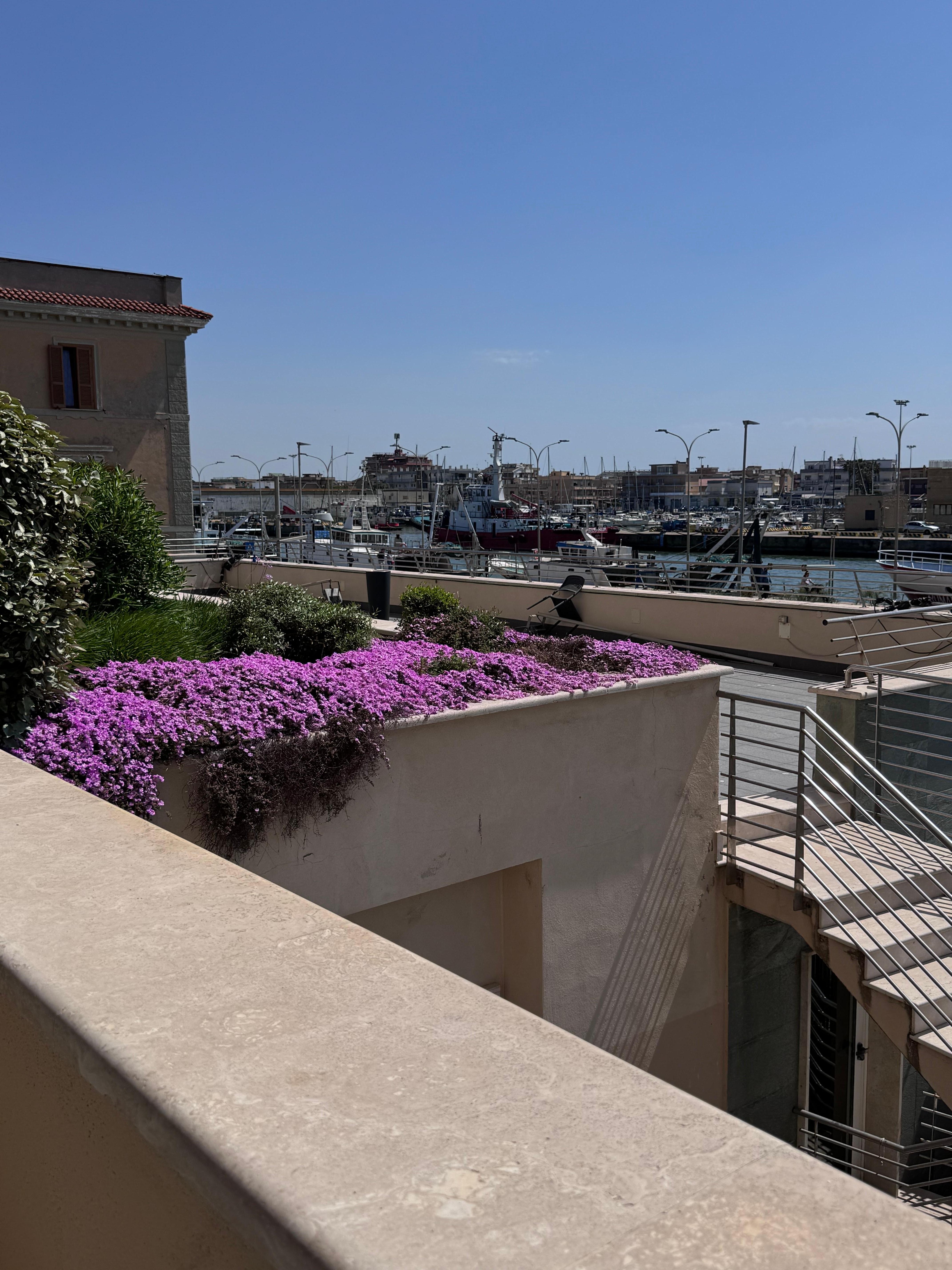 Balcony view from my room