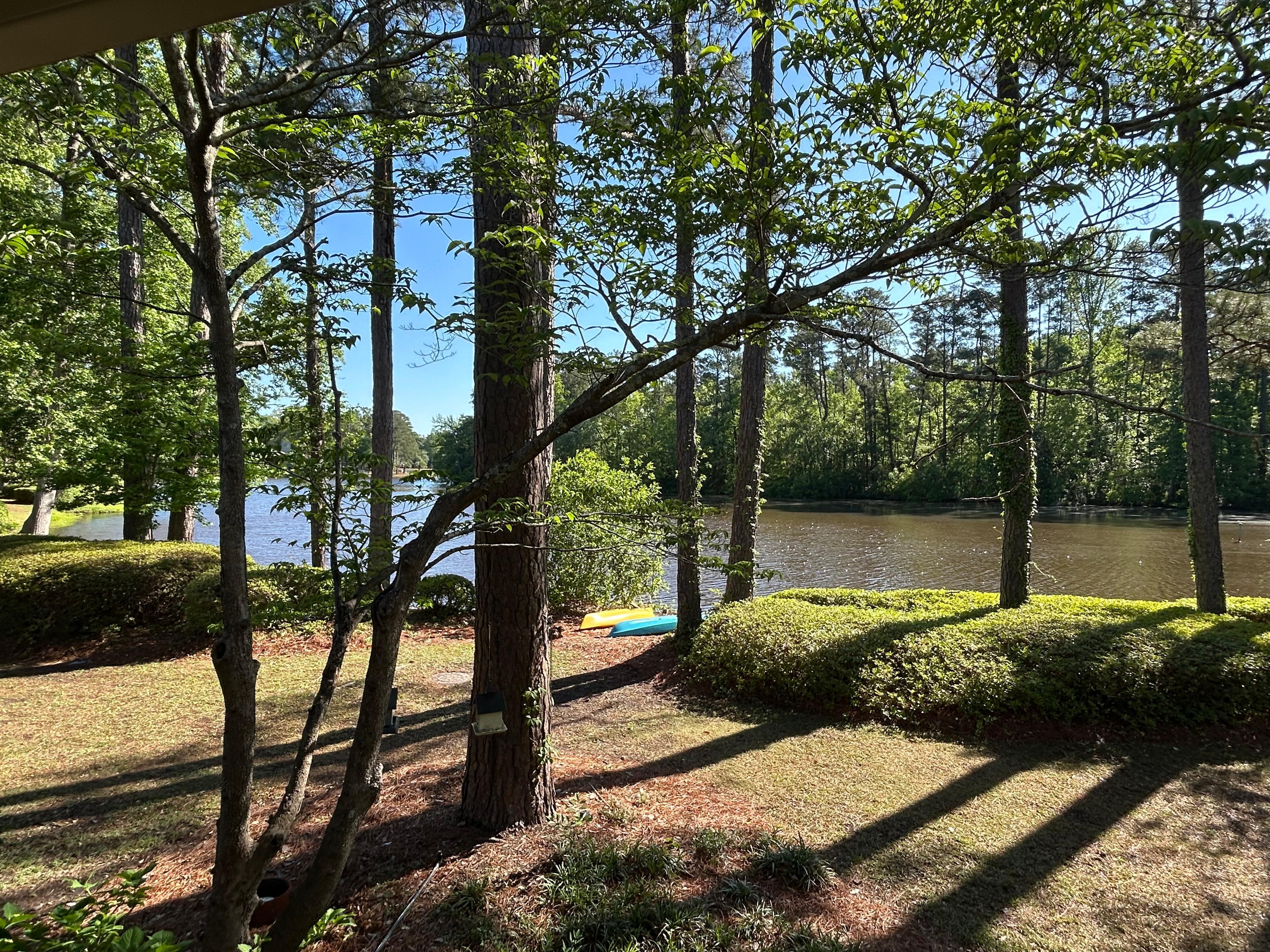 View from a living room window.