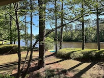 View from a living room window.