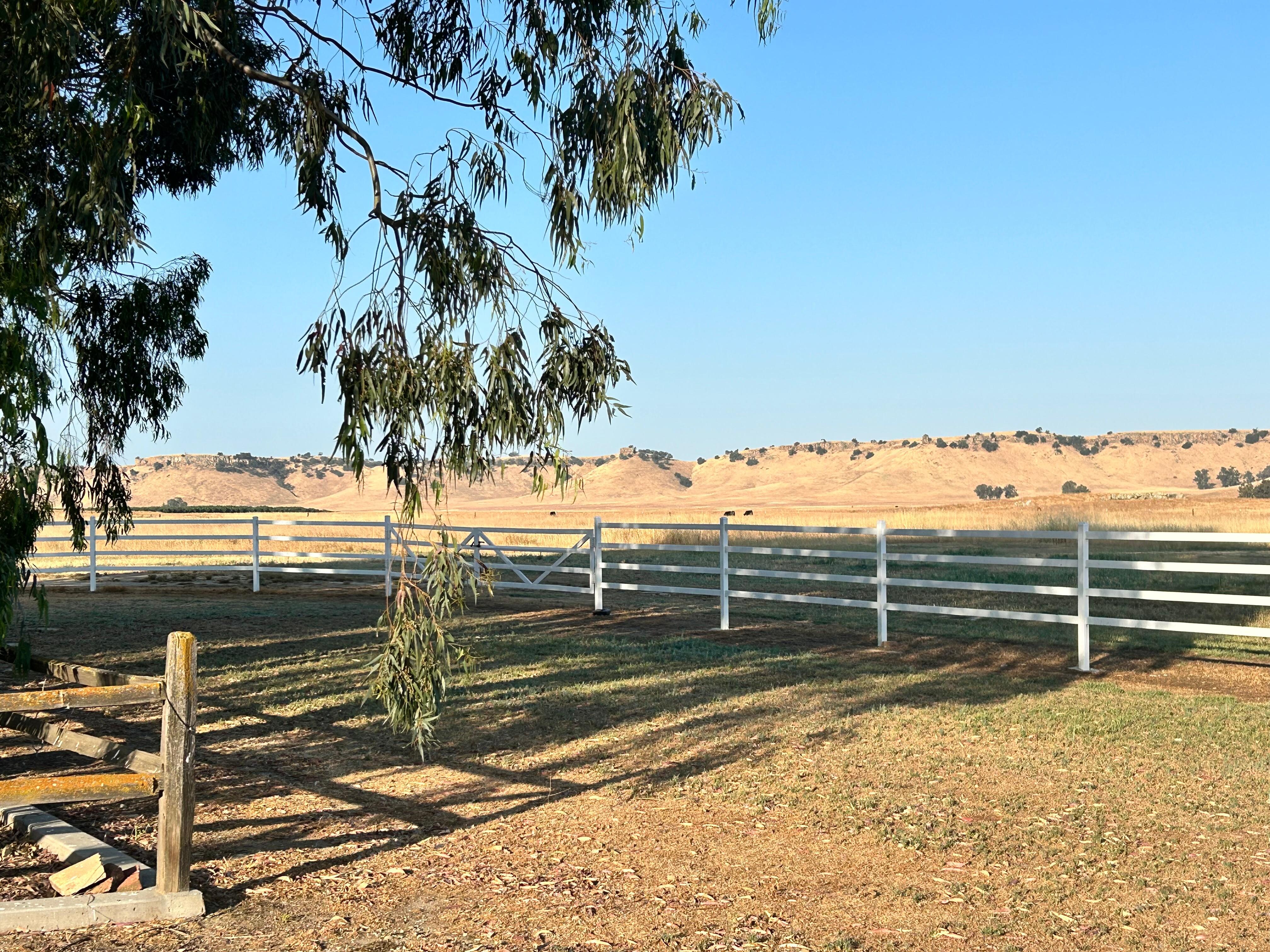 Breakfast with a few 