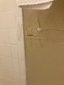 Dirt and mold