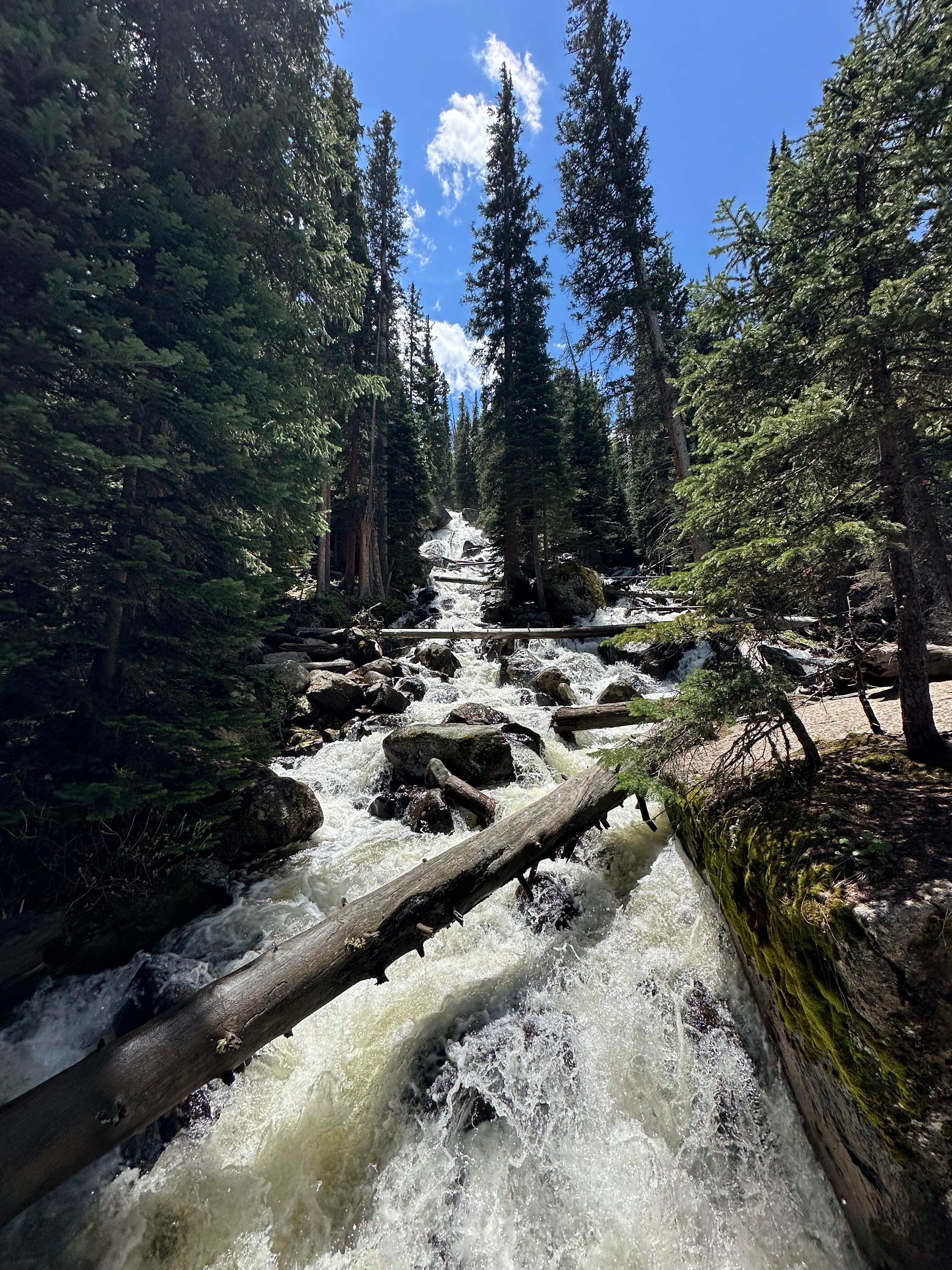 Trail, RMNP