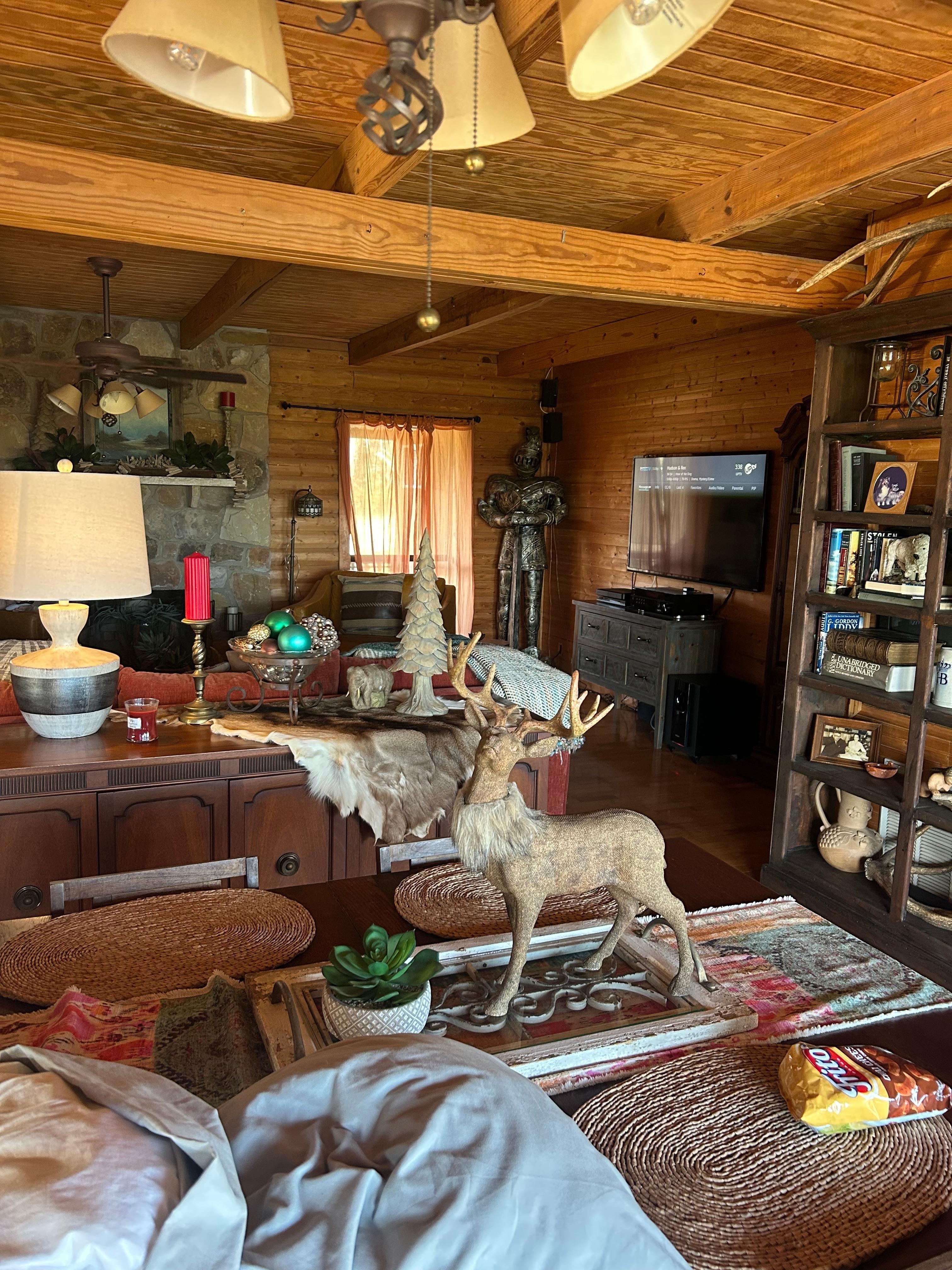 The downstairs very comfortable living area. 