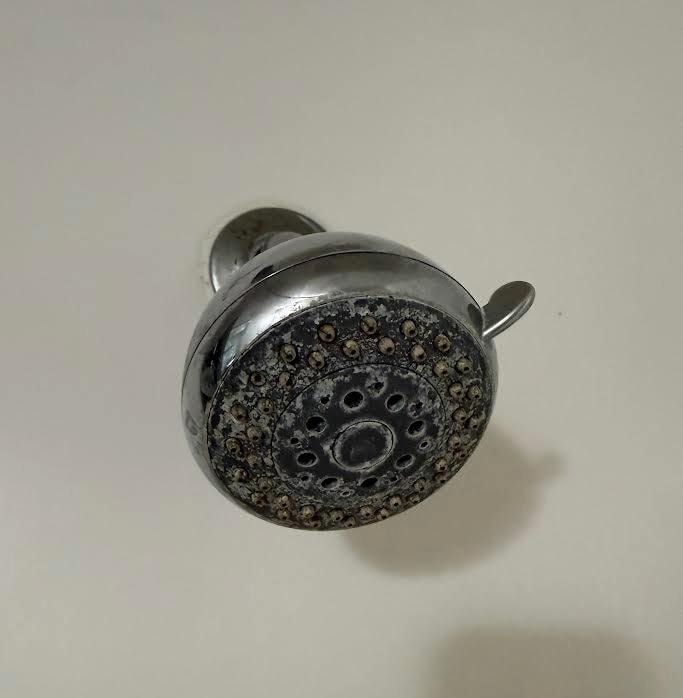 Disgusting/dirty showerhead!