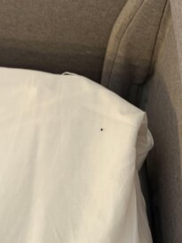 Poop on pullout bed, no extra clean linens in the unit.