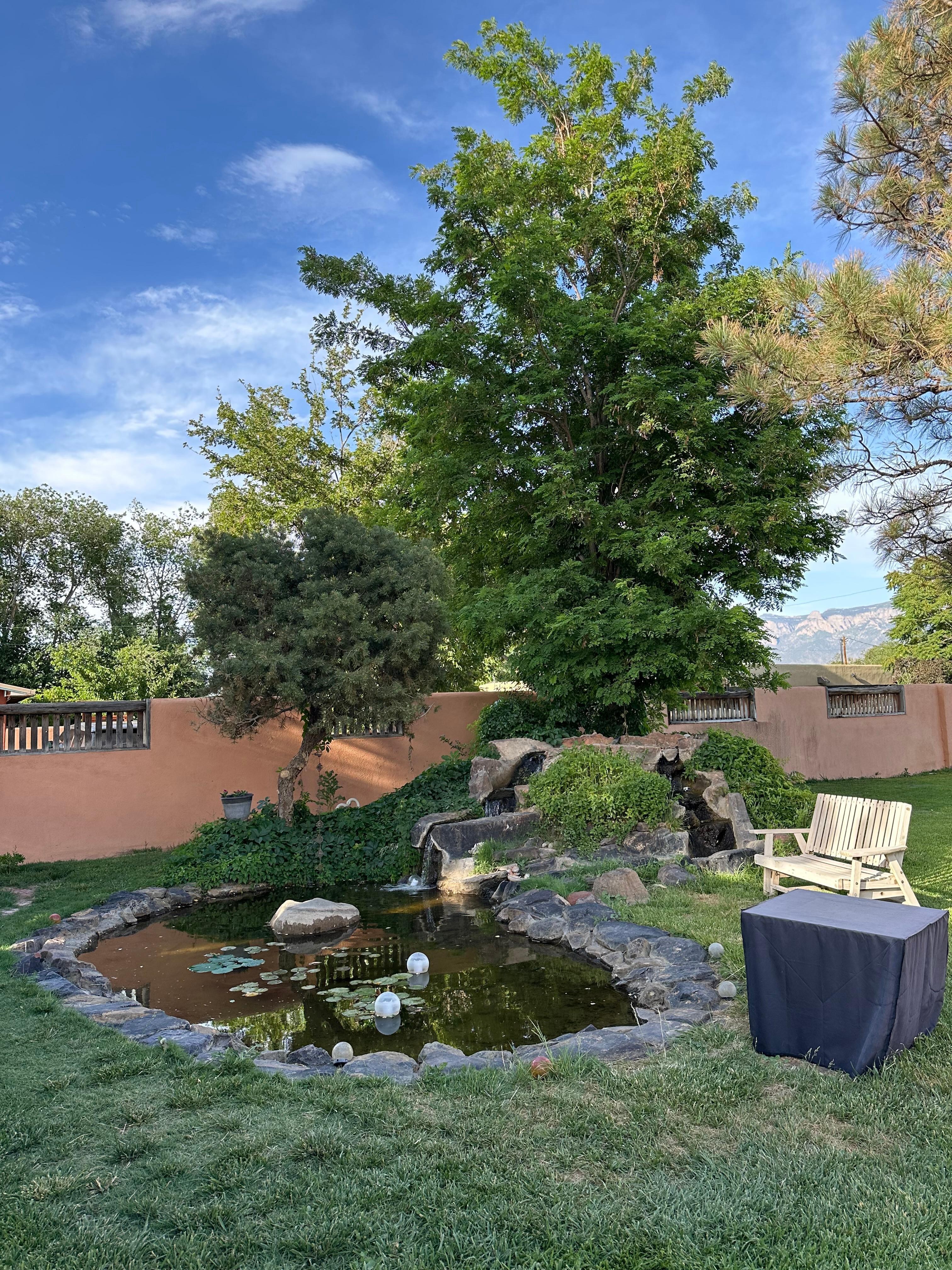Water feature in garden 