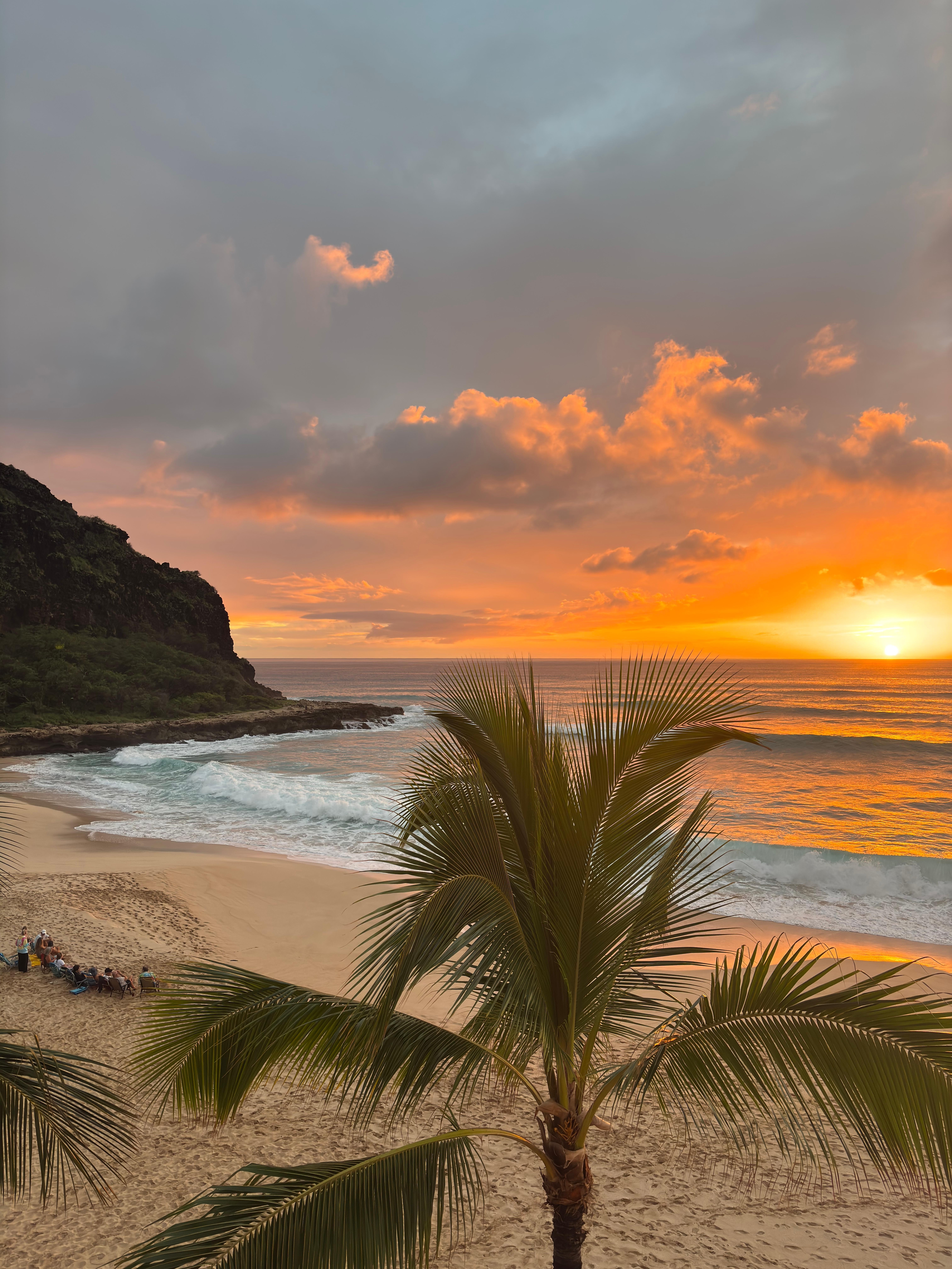 Listen for the conch shells