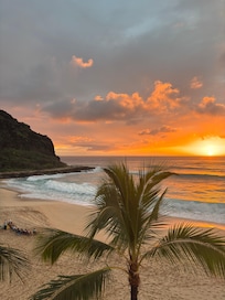 Listen for the conch shells