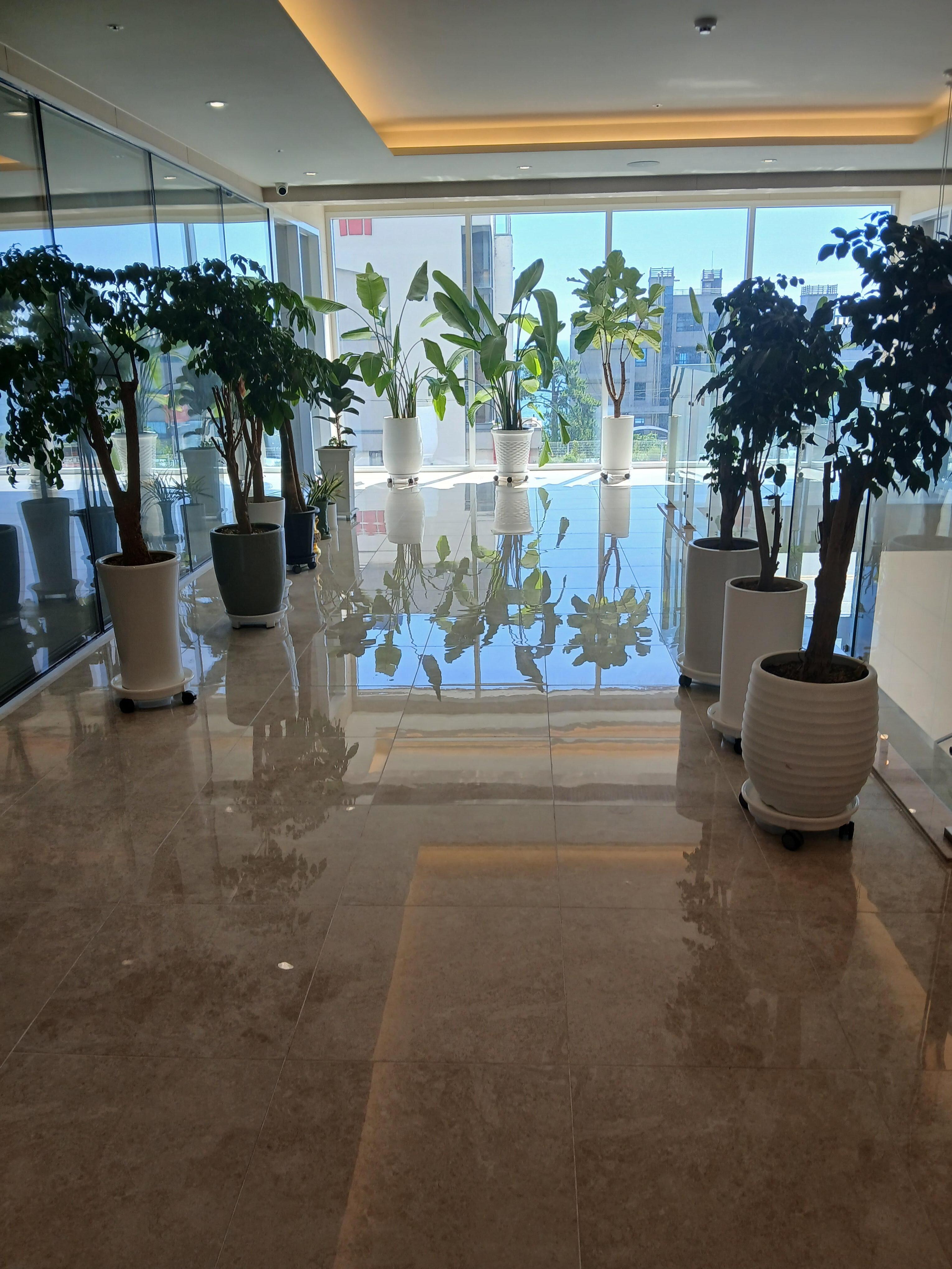 Lobby Area