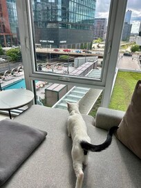 Booth's view of the building pool.