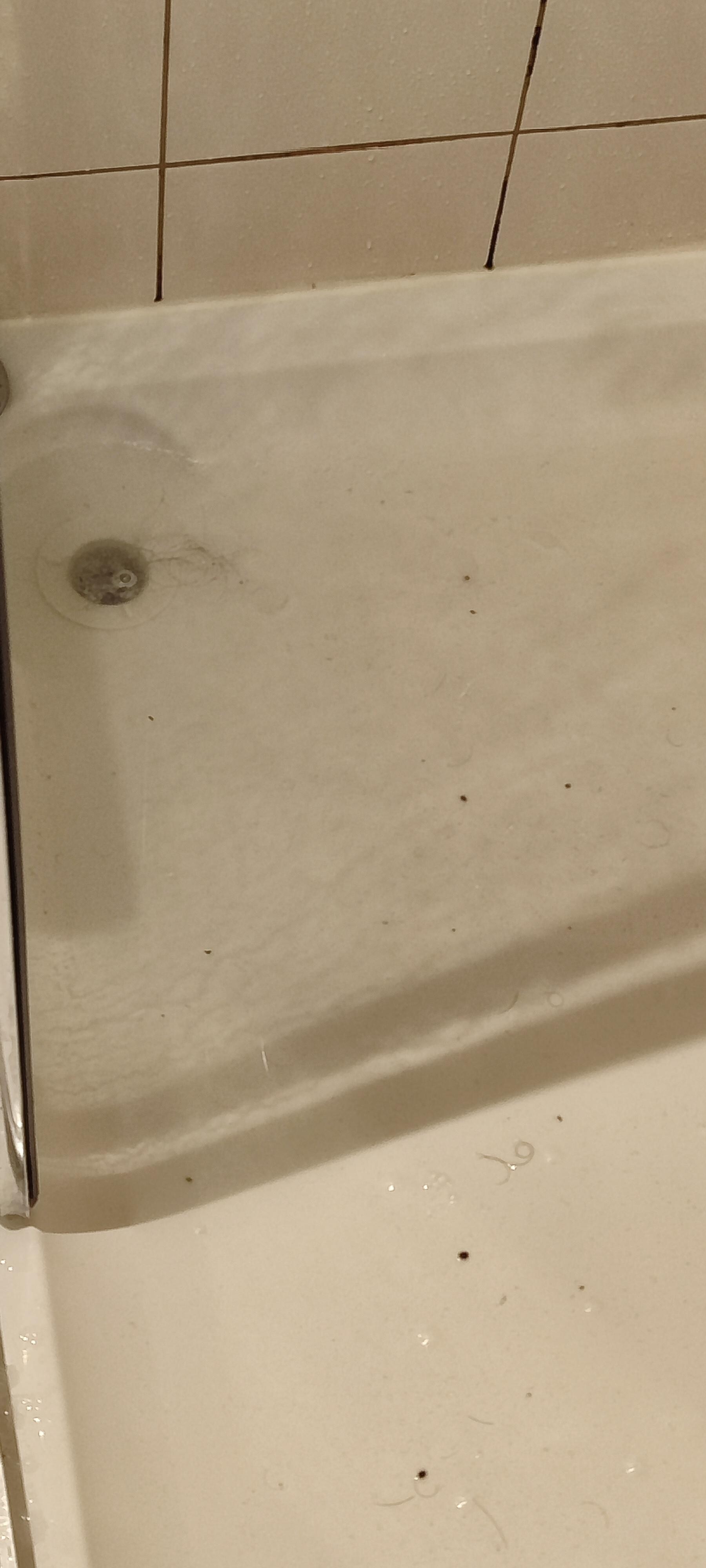 Nous avons essayé de déboucher en mettant de l'eau chaude (bouilloire)