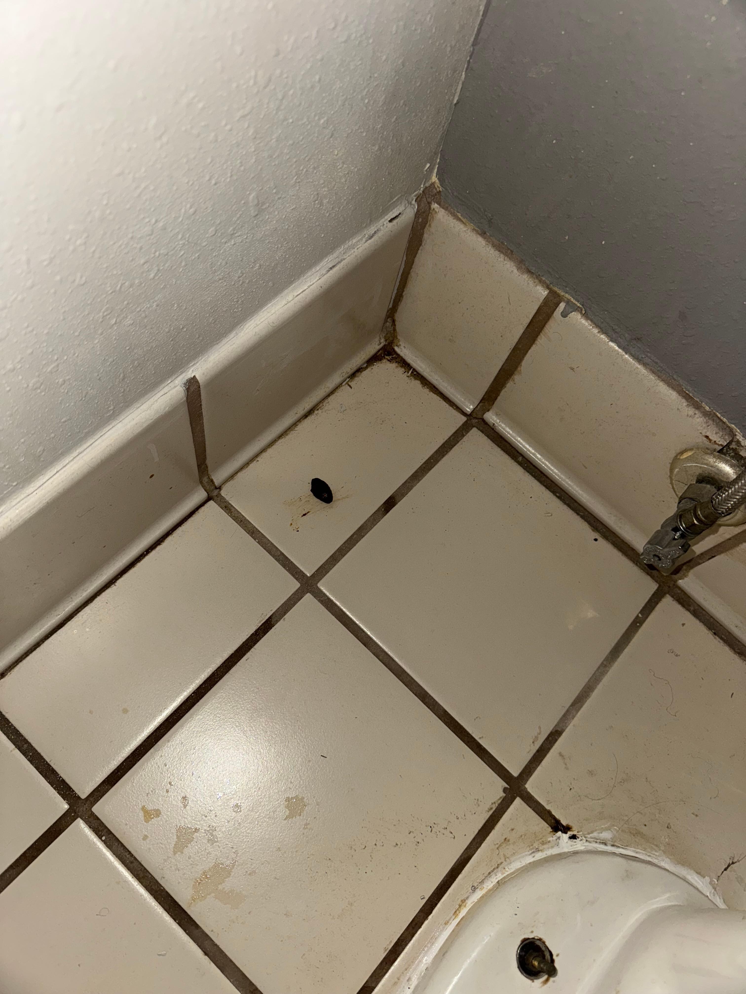 Human poop on floor I had to clean up myself