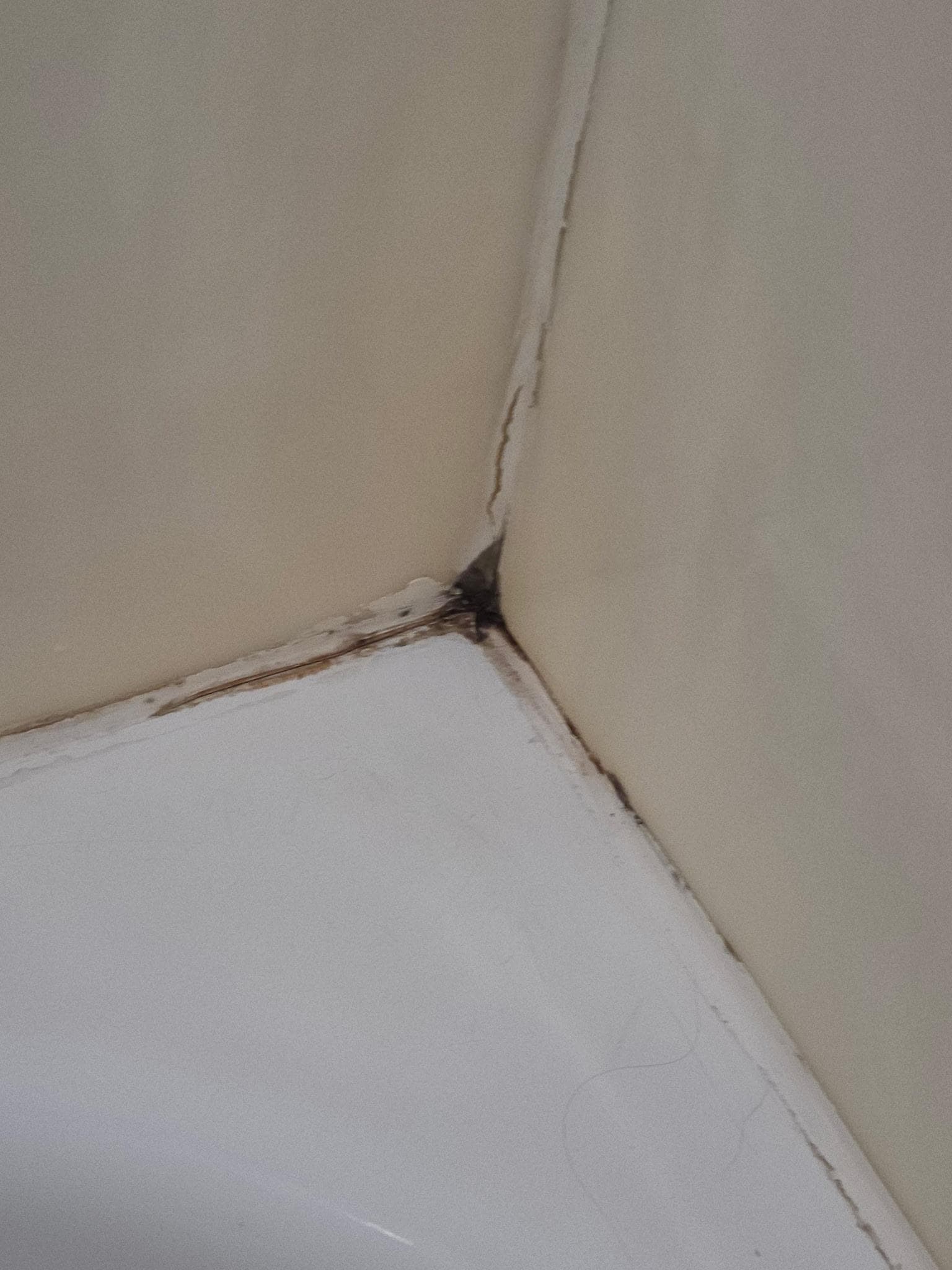 Mold in the bathtub