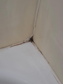 Mold in the bathtub