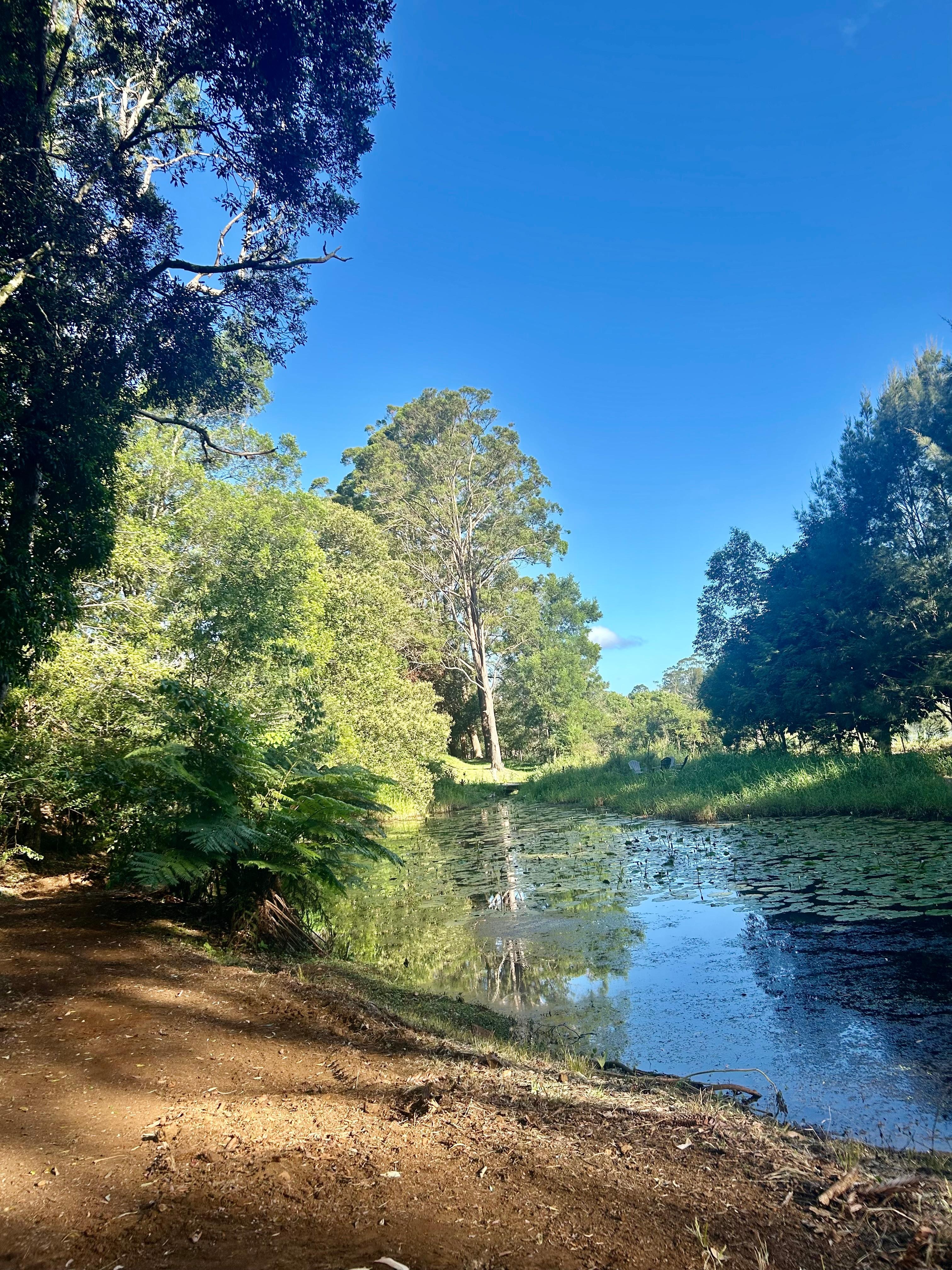 Large pond on the property to walk to. 