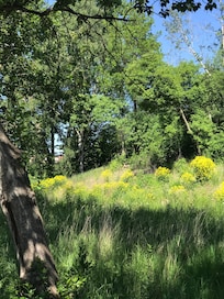 The beautiful parks in Vasteras.