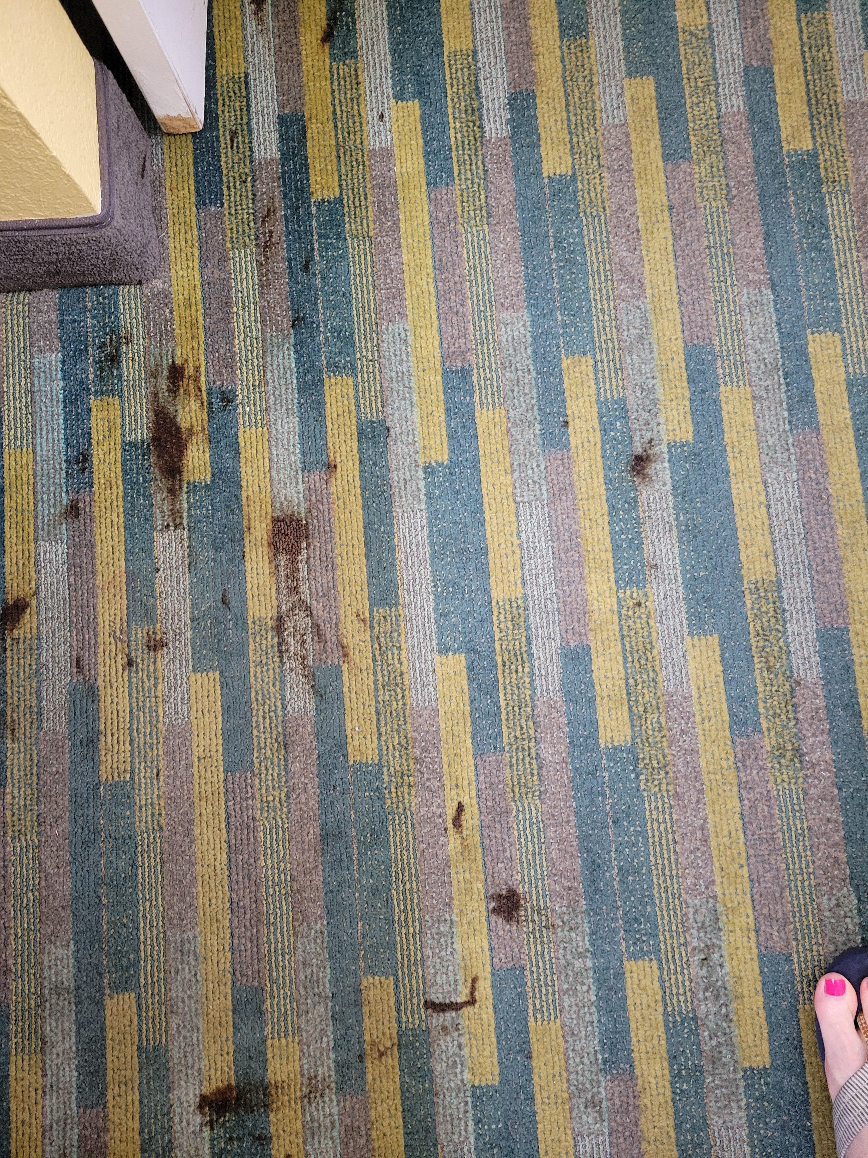 Carpet looks like someone was murdered