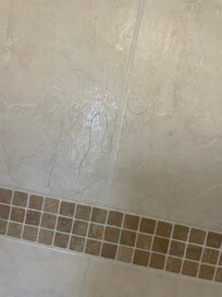 Hair - not ours! - in the shower :(