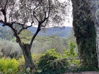 Beautiful view
