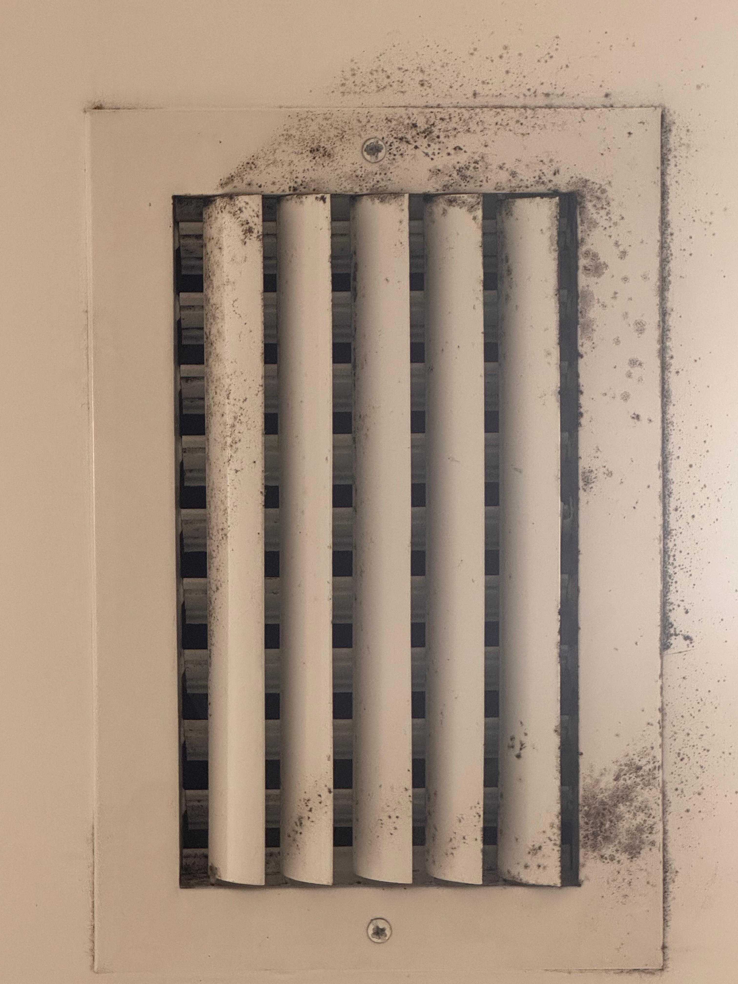 Presumed mold - maintenance  says dirt - in hallway vent