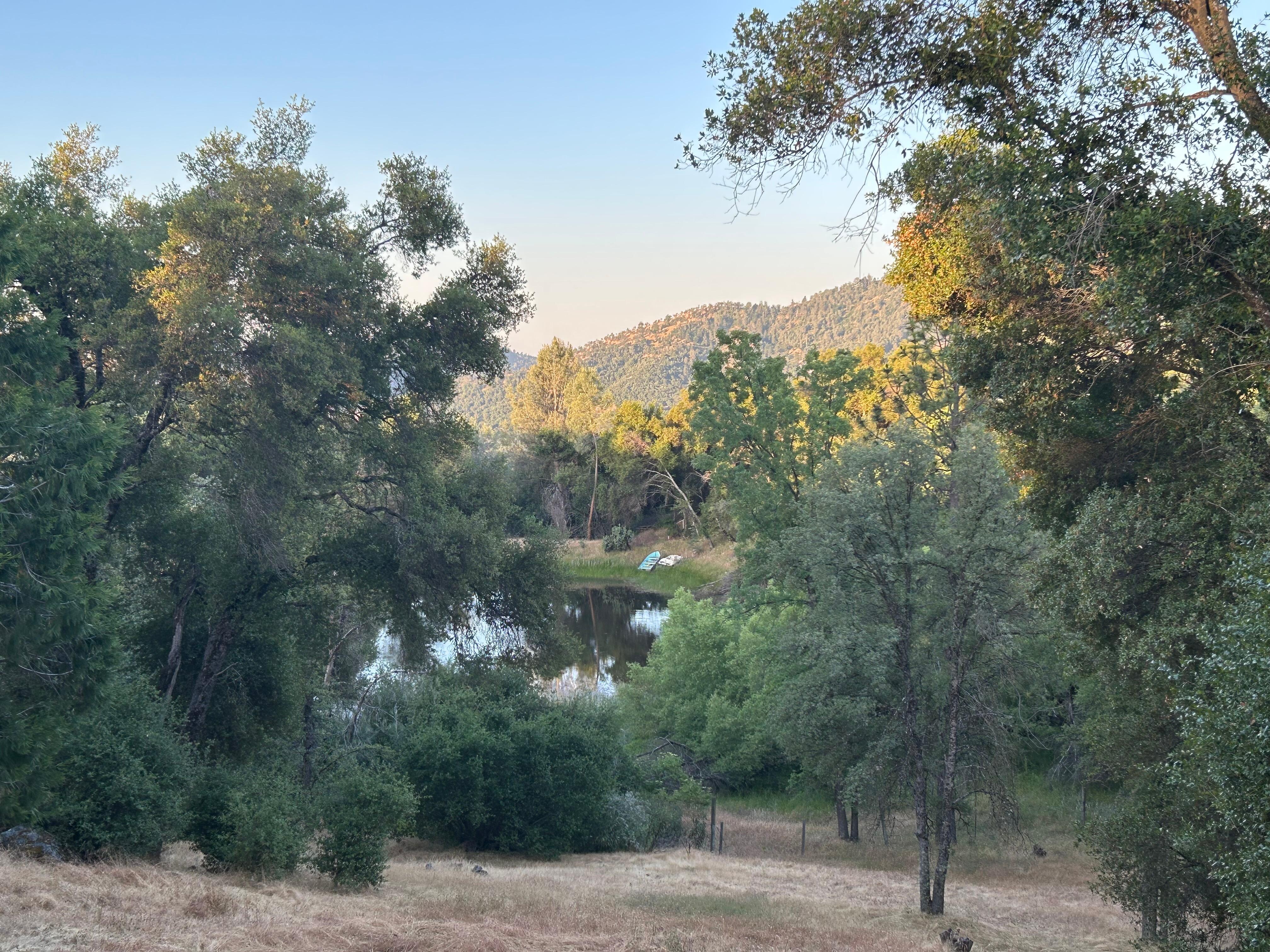 The beautiful view from the cozy back porch!
