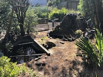 stagnate water pools